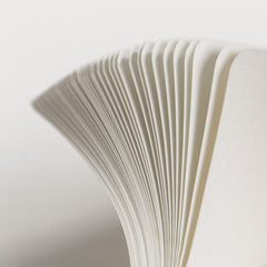 PDW A6 Pocket Field Notebook - IGNEM FERAM Graphic - Plain