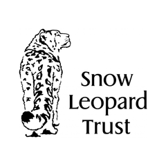 PDW Snow Leopard 2018 LTD ED Morale Patch